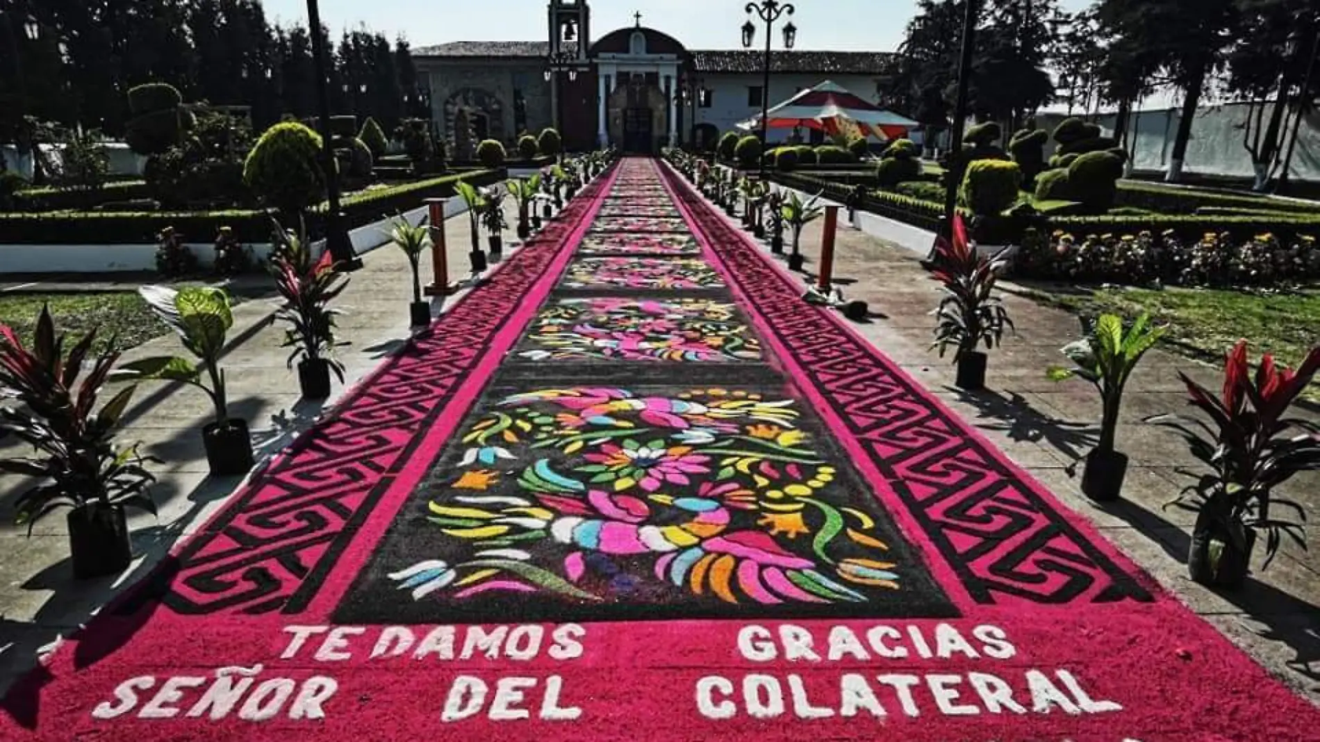 ALFOMBRAS  (3)